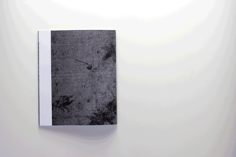 Sidewalk Book
